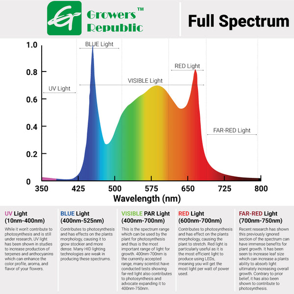 What Is The Best Light Spectrum For Plant Growth?