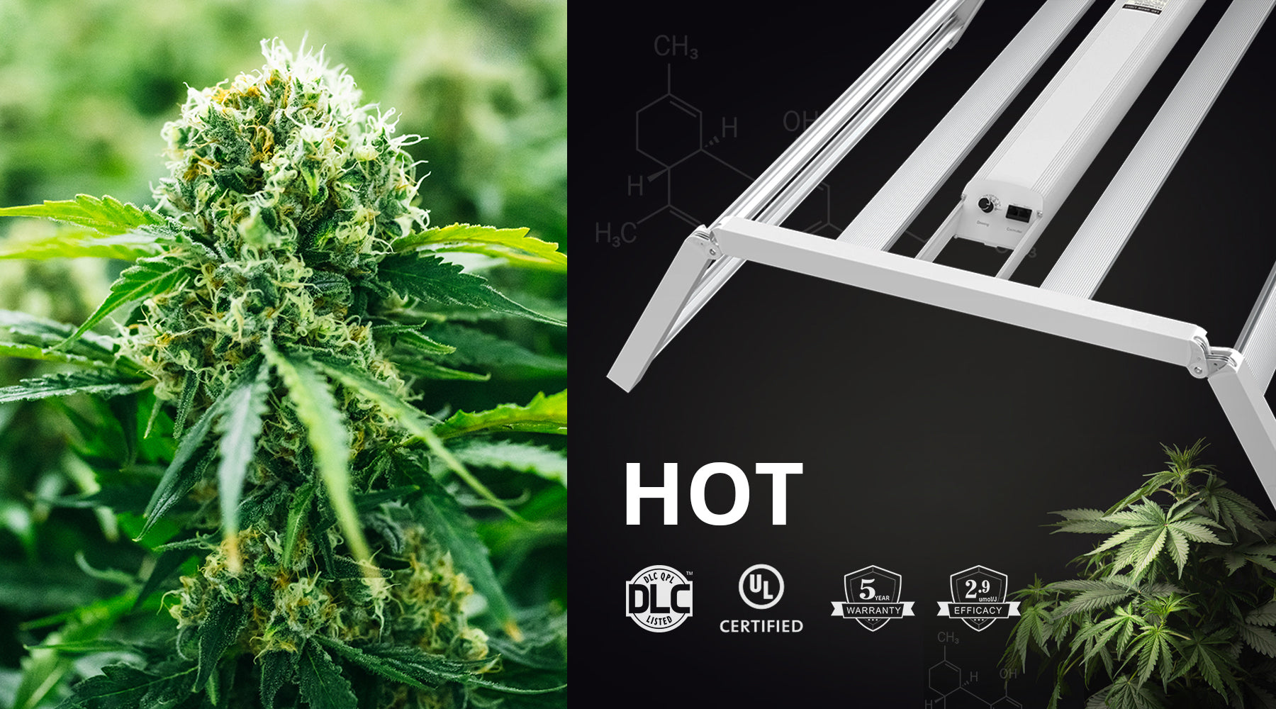 Growers Republic cannabis LED grow lights