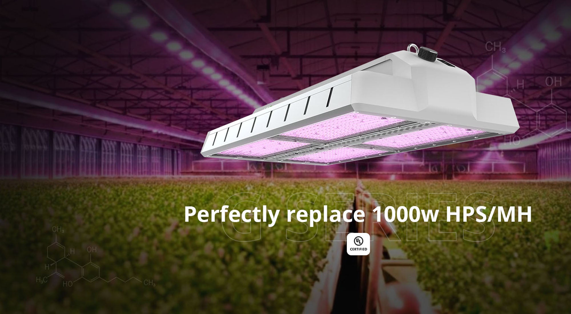 Cannabis_LED_Grow_Lights_2000x